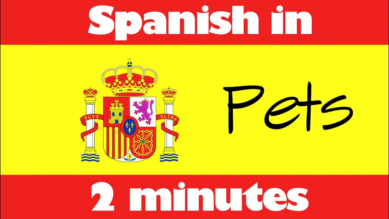 How To Say Do You Have A Pet In Spanish Lifescienceglobal