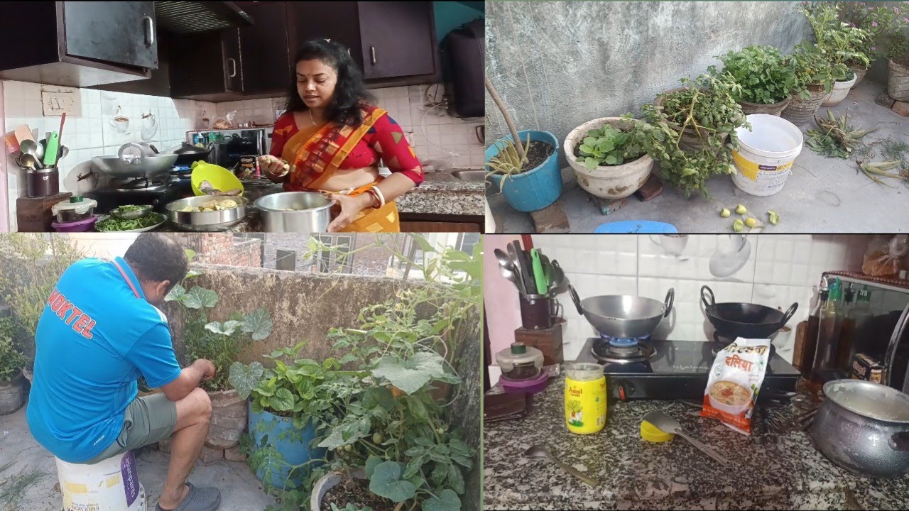 ছাদ বাগানে এসে ছিলো বান্দর কি করেছে #apursansar #vlogchannel #dalivolag 