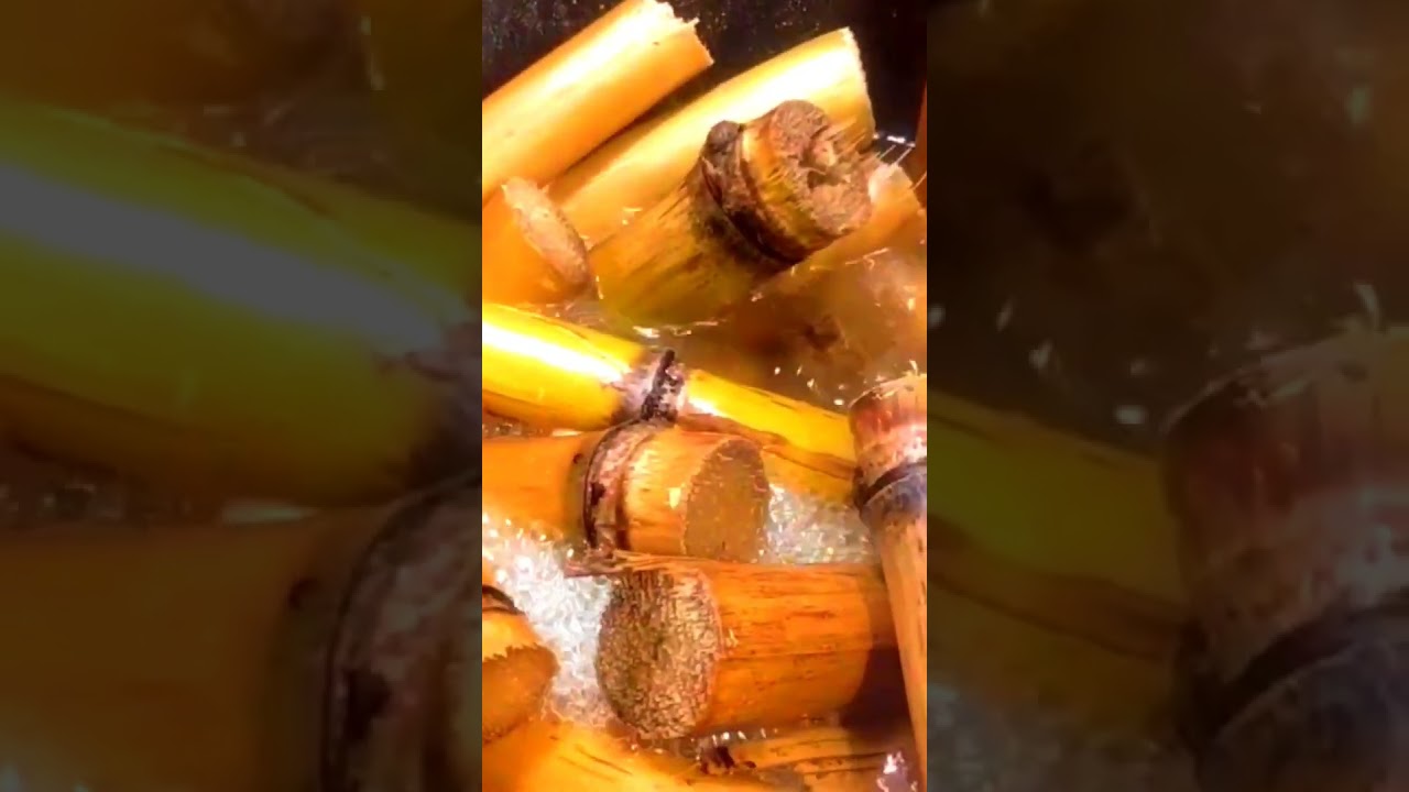 От сахарного тростника до патоки #tnog #сад #сахарныйтростник #патока