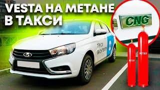 Лада Веста на метане в такси - можно не глушить никогда! Lada Vesta CNG / ТИХИЙ Борода Разрулит