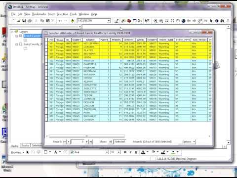 Making Multiple Selections from ArcMap layer attribute table tutorial