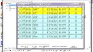 Making Multiple Selections from ArcMap layer attribute table tutorial
