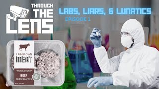Labs, Liars, & Lunatics | Through The Lens - Episode 1