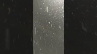 Ahmet Kaya - Söyle Whatsapp Durum