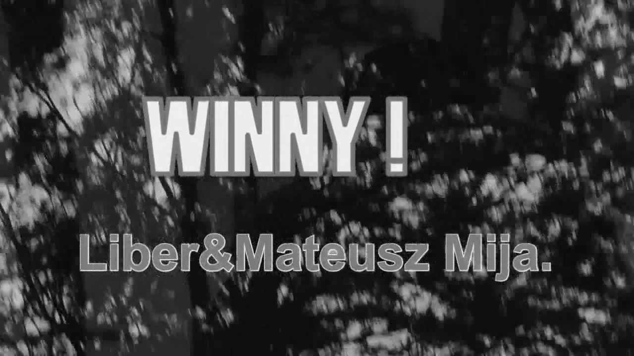 Liber I Mateusz Mijal Winny Pobierz
