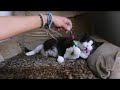 Beginning of video