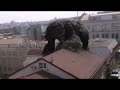 End of video