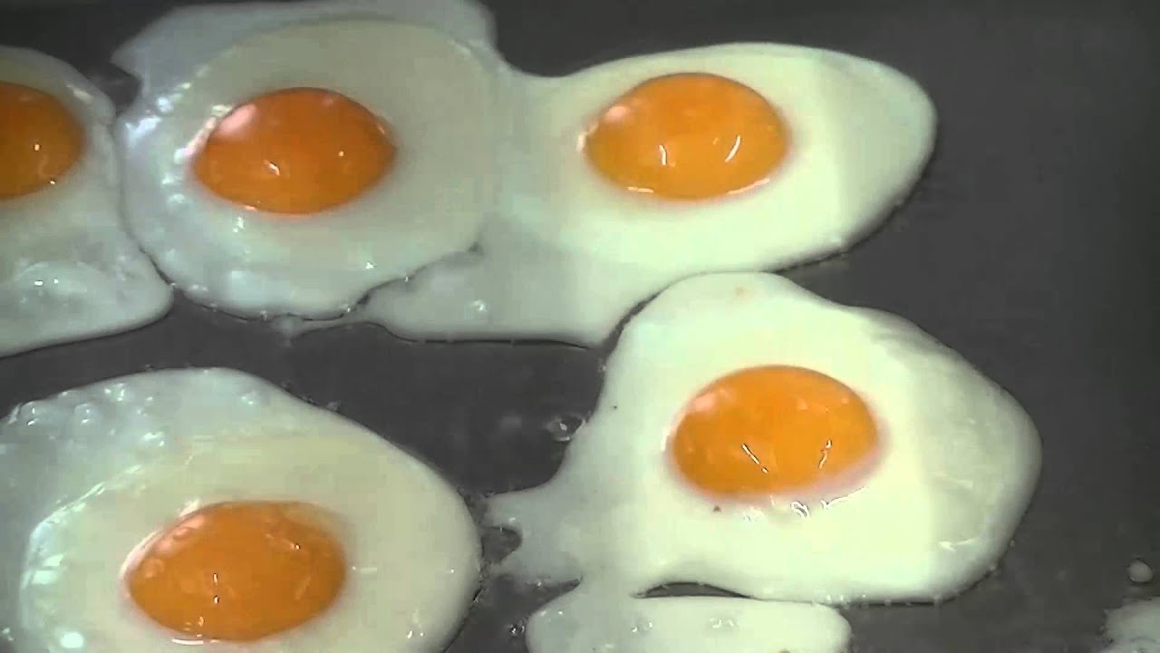 Immersion en cuisine YouTube