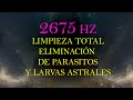 LIMPIA TODO ESPACIO DE BAJAS FRECUENCIAS, ENTIDADES, PARASITOS Y LARVAS ASTRALES - 2675 HZ