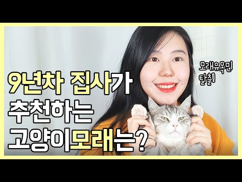 인생 고양이모래 발견! 9년차 프로집사의 내돈내산 모래 추천! | 벤토나이트, 헬로가토스 리뷰 | 경기독 냥평군 8마리