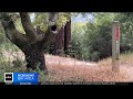 Area near King Mountain Reserve in Marin County could soon open to the public