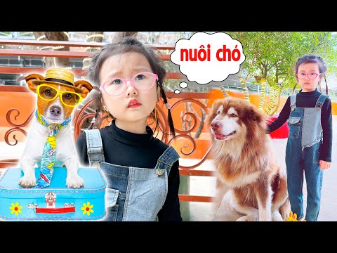 Video: Phải có trang trí cho gia đình yêu chó của bạn