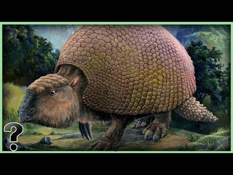 What If The Glyptodon Didn&rsquo;t Go Extinct?