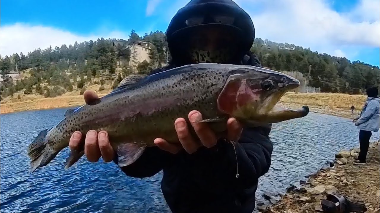 Monster Rainbow Trout Epic Fly Fishing Adventure at Alto Lake, Ruidoso