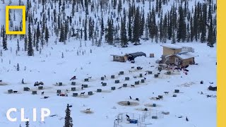 Building an Outhouse | Life Below Zero