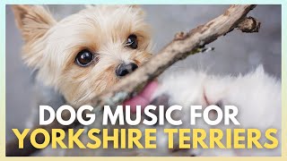 Relaxing Dog Music for Yorkshire Terriers! Best Sleep and Calming Music - Dog Radio