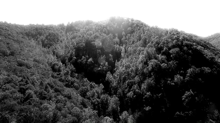Top of the  World-Thomas Justus-