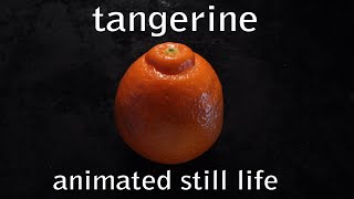 Tangerine - Animated Still Life