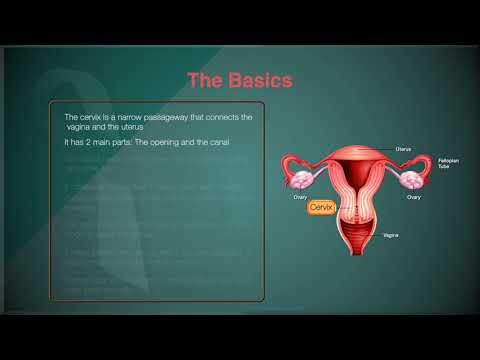 Cervical Cancer Prevention Part 1