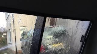 IMG 1117