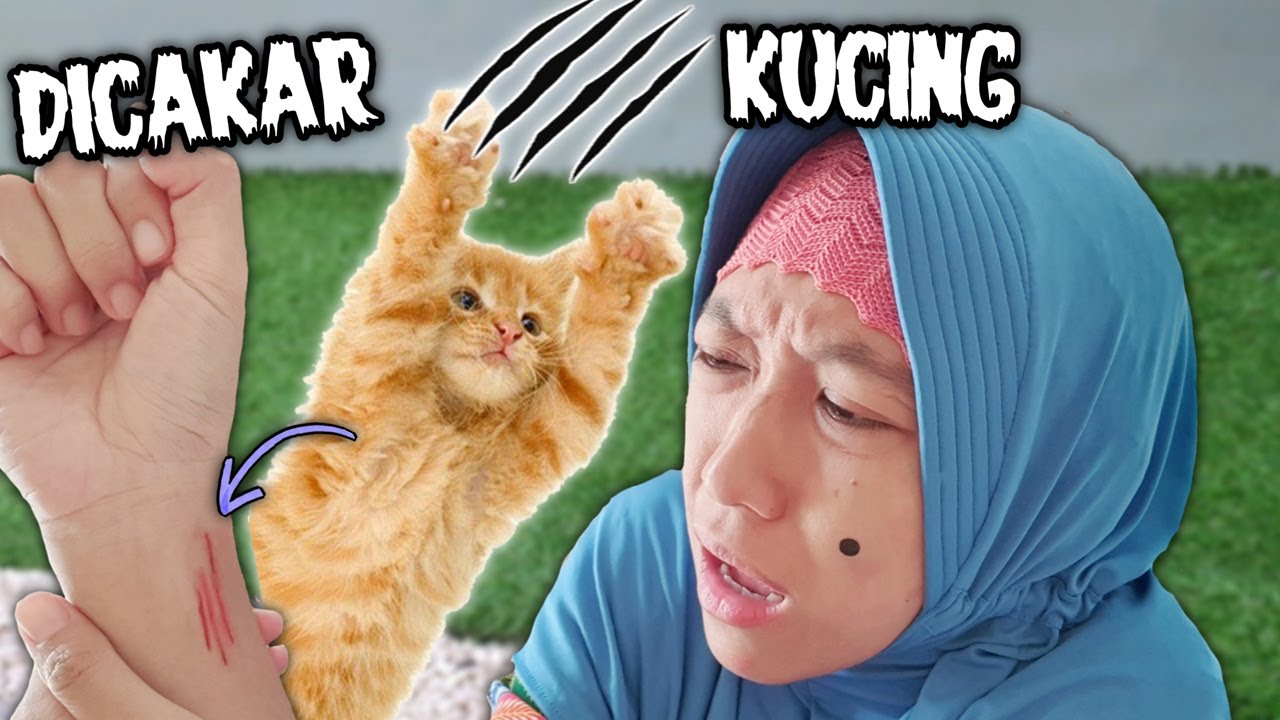 Kunyit Lebay 😄 Kena Cakar Kucing Eh... Jadi Meong - Asti Kunyit - Bunda Aqilla Eps 47