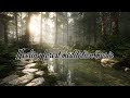 Healing Forest Meditation Music – Deep Relaxation, Chilling Sounds & Inner Balance