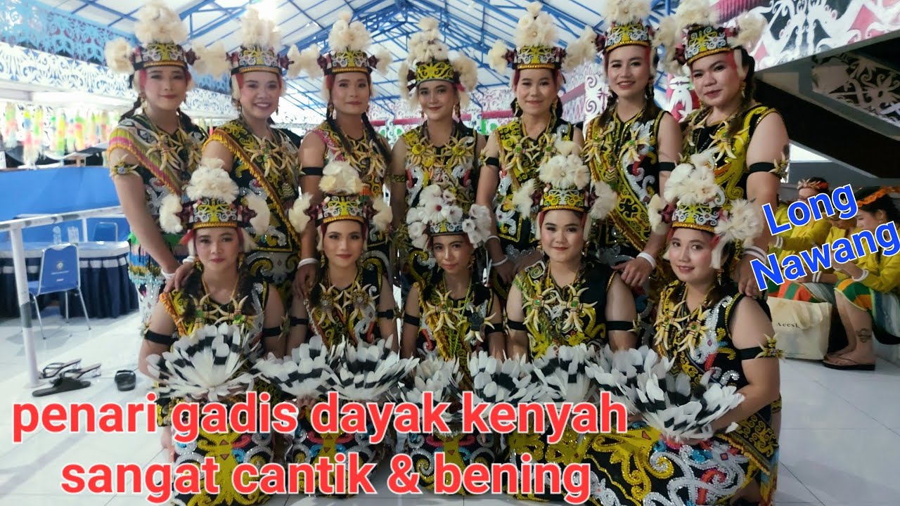 Festival seni dan budaya dayak kenyah kab.malinau penari muda cantik & mempesona