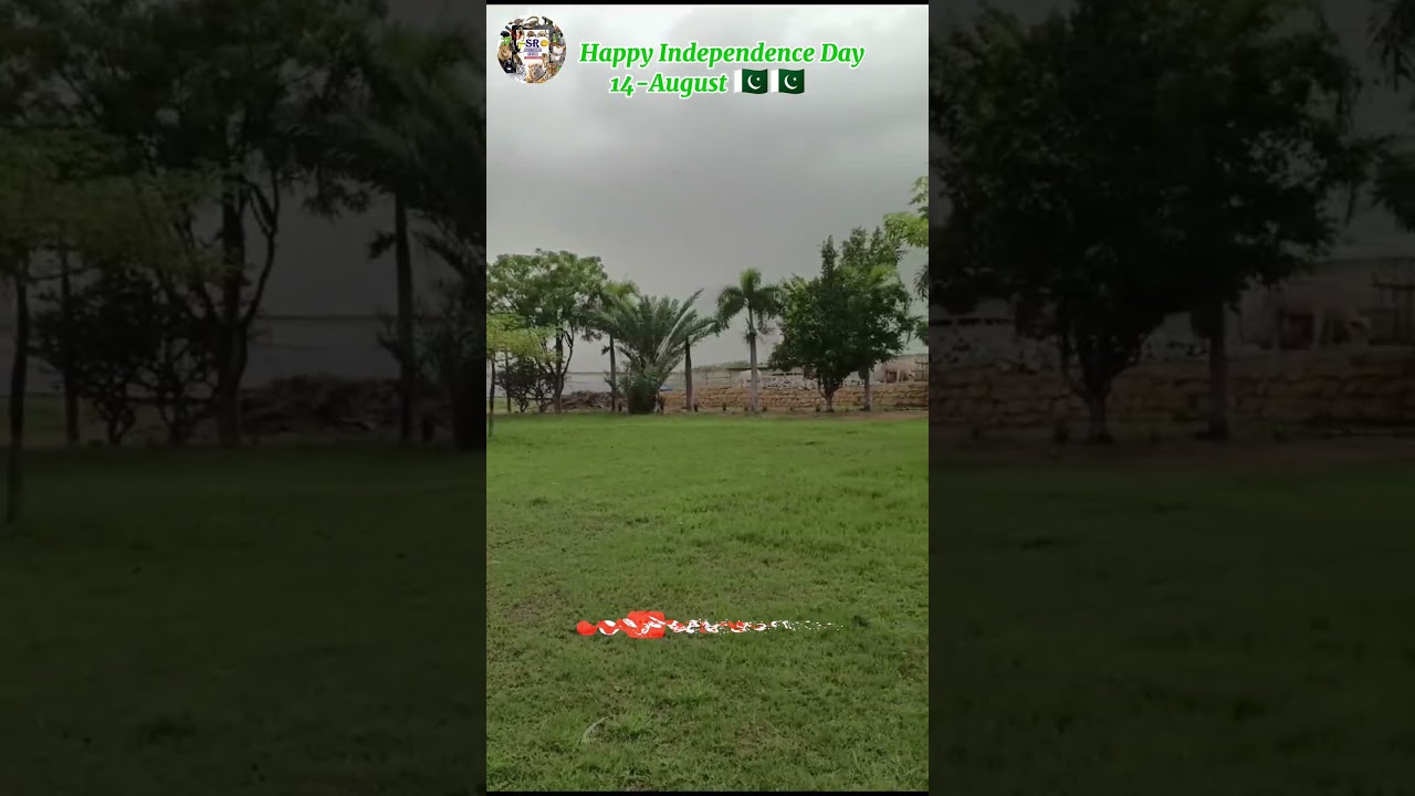 Happy Independence Day ❤️🇵🇰 