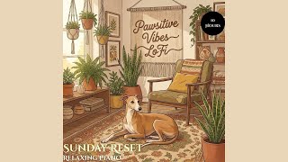 Calm Classical Music 🎻 Relaxing Piano & Strings for Dogs | Anxiety Relief | 10 Hours