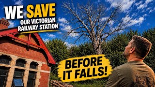 We Save Our Victorian Railway Station Before This Tree Falls