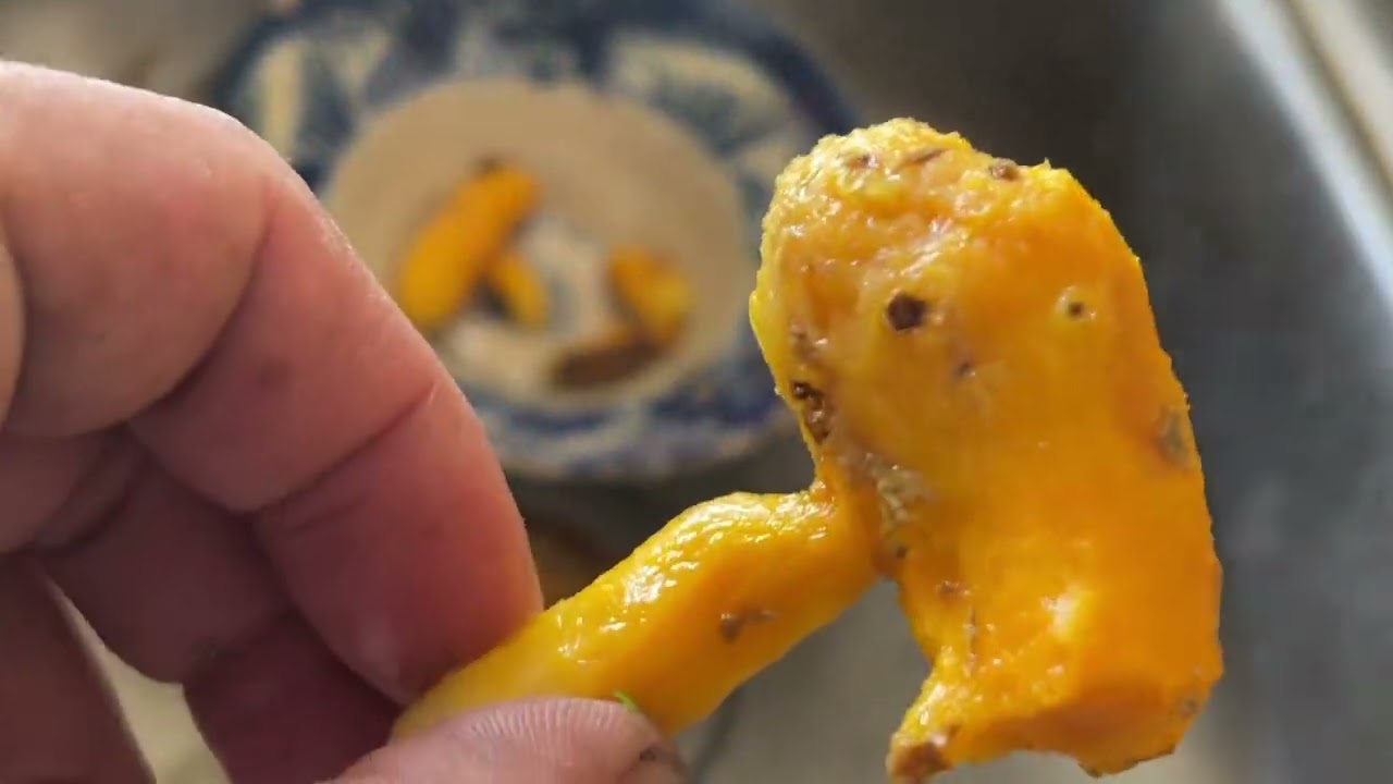 Grind rice to make 6-color noodle soup with duck meat, mushrooms, mussels,  and natural colors.