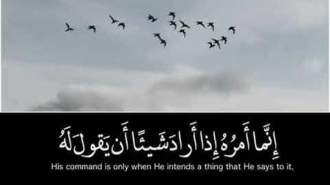 قران كريم ماهر المعيقلي || أجمل حالات واتس اب دينيه || تلاوة خاشعة 🍃(2)