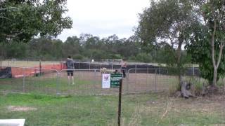 Pieras 2Nd Attempt Herding 270610