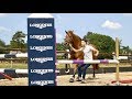 DRESSAGE HORSE TRIES FREE JUMPING|| MATT HARNACKE