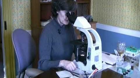 PREPARE A SOIL SAMPLE  (part 2) - INTRODUCTION TO SOIL MICROBIOLOGY by Dr. Elaine Ingham