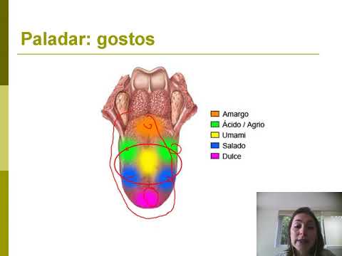 Vídeo: Que fatores afetam as características sensoriais de um produto alimentar?