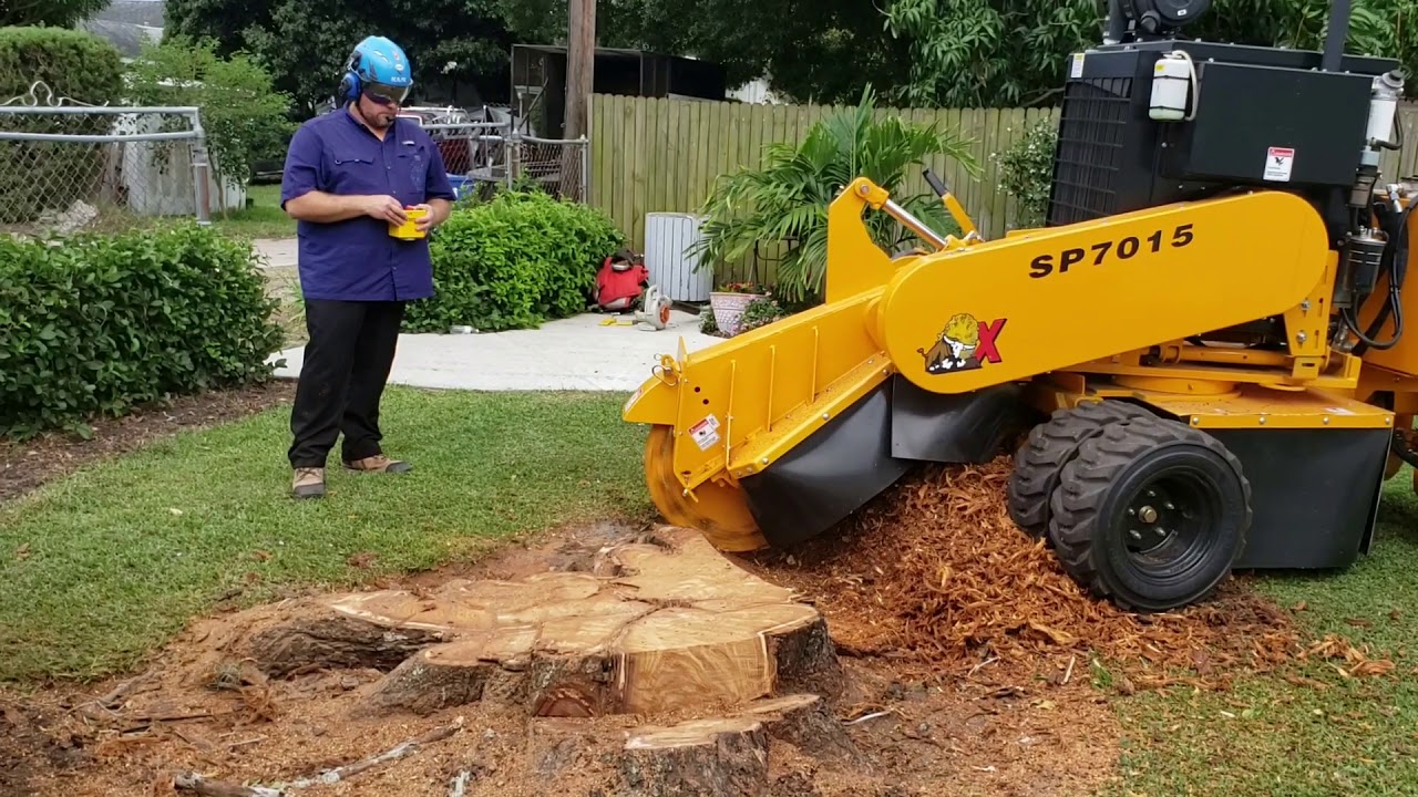 Local stump grinding services, Eastpoint FL