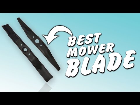 Top 5 BEST