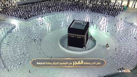 "وأدخلني برحمتك في عبادك الصالحين" تلاوة بديعة لقصة سليمان | د. عبدالله الجهني فجر السبت 6-1-1443هـ