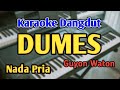 DUMES - KARAOKE || NADA PRIA COWOK || Guyon Waton || Audio HQ || Live Keyboard