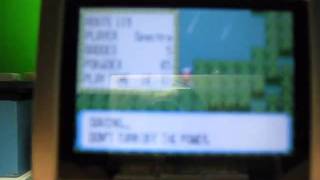 Pokemon Ruby - Cut Hack