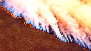 Природные пожары, горящие торфяники, пал травы - неужели для природы есть польза?