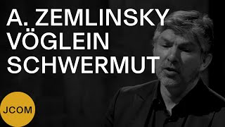ALEXANDER ZEMLINSKY: VII. Vöglein Schwermut (Thomas E. Bauer, JCOM, Daniel Grossmann)