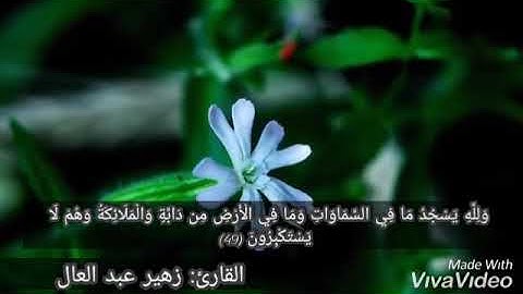 { وقال الله لا تتخذوا إلهين اثنين} القارئ: زهير عبد العال