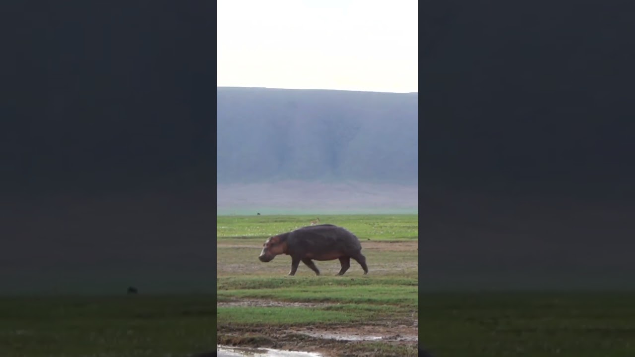 Leaving the office for Christmas like.... 