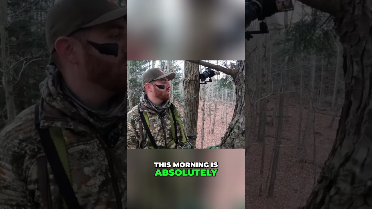 Perfect Hunting Morning: Ideal Conditions on the Hill! #shorts