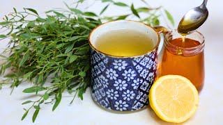 The Cajun Flu Remedy Every Southerner Should Know