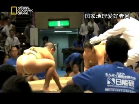 National Geographic Inside Sumo Kids 未来の力士たち 5 5 Youtube National Geographic Inside Sumo Kids 未来の力士たち 5 5 Youtube
