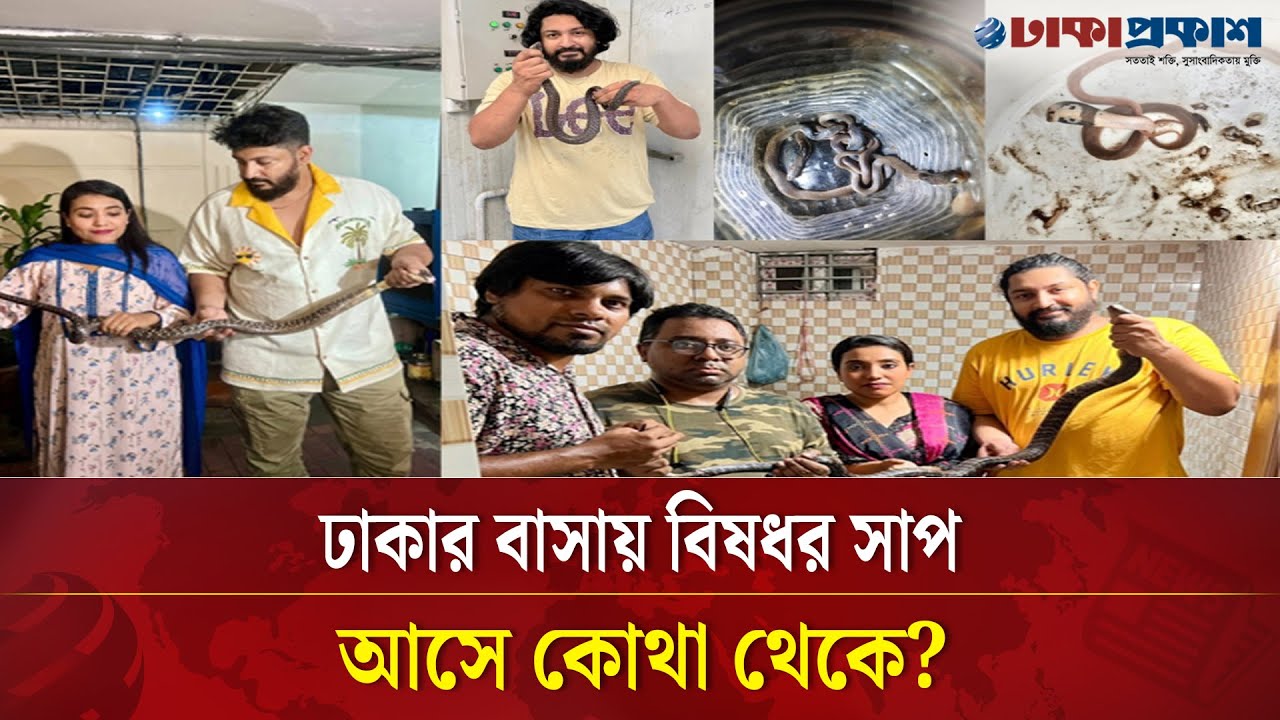 ঢাকায় বেড়েছে সাপের আনাগোনা, আপনার করনীয় কি ? Snake Alert | Safety Tips