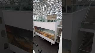 K21 музей в Дюссельдорфе #німеччина #germany